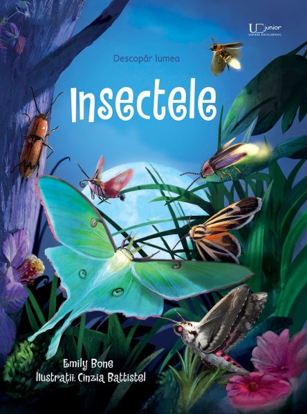 Insectele - Usborne Books
