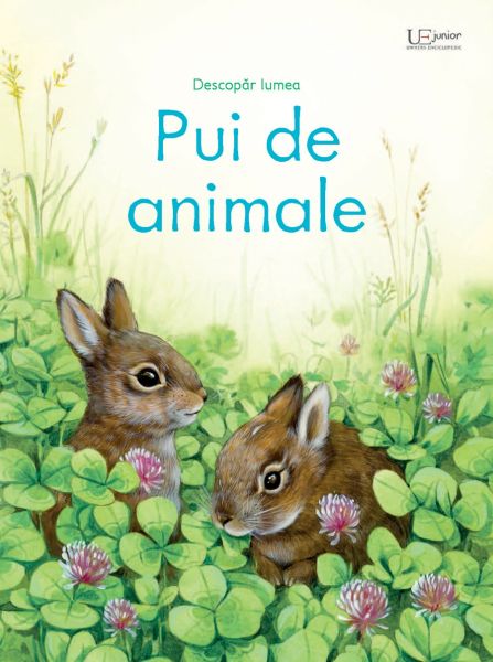 Pui de animale - Usborne Books