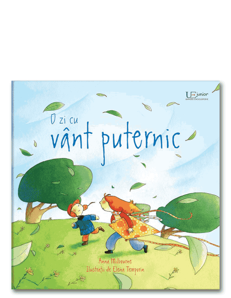 O zi cu vant puternic - Usborne Books