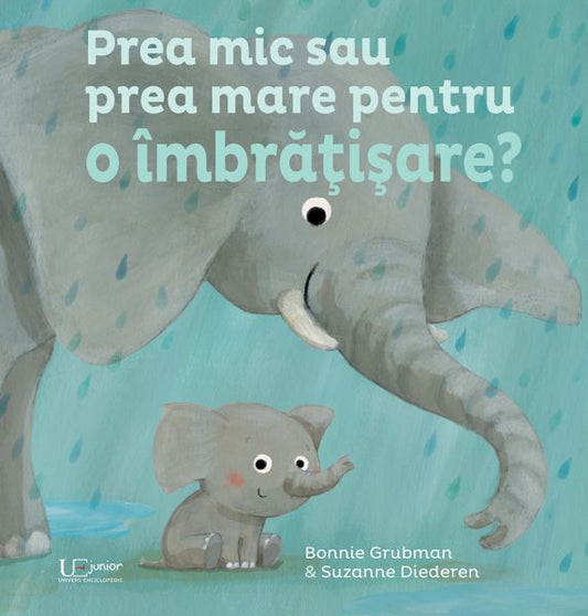 Prea mic sau prea mare pentru o imbratisare - Suzanne Diederen