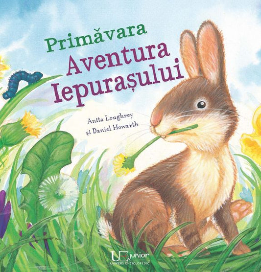 Primavara. Aventura Iepurasului - Daniel Howarth, Anita Loughrey