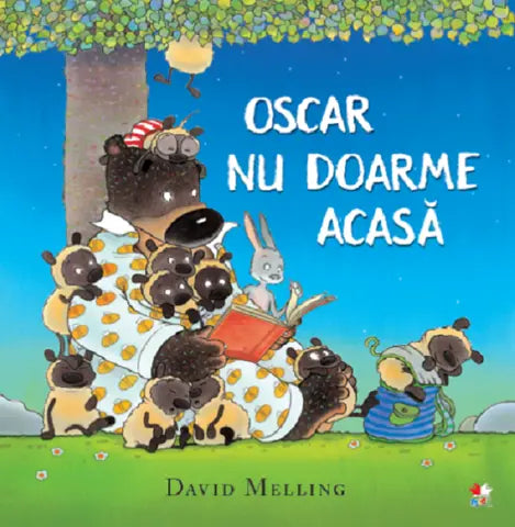 Oscar nu doarme acasa - David Melling
